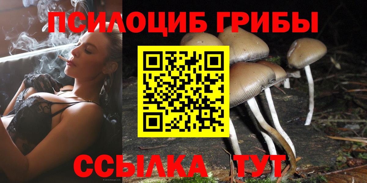 Галлюциногенные грибы Cubensis  Псилоцибиновые грибы Magic Shrooms  Павловский Посад  Вход с VPN 